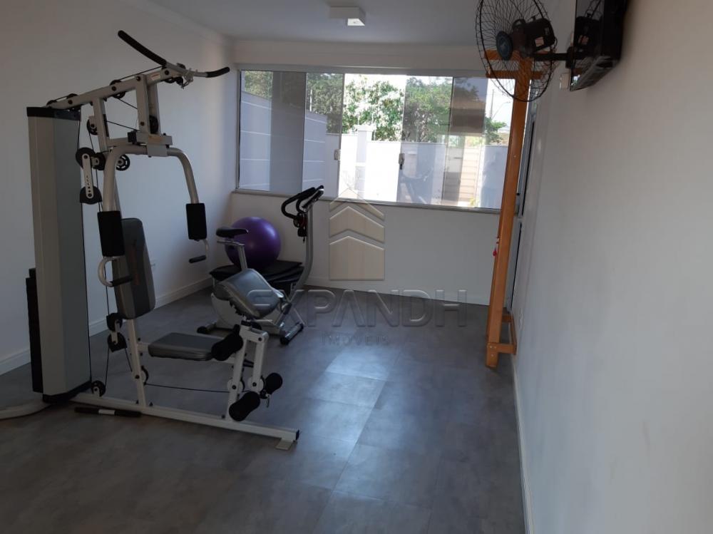 Alugar Apartamentos / Padrão em Sertãozinho apenas R$ 1.350,00 - Foto 11 Alugar Apartamentos / Padrão em Sertãozinho apenas R$ 1.350,00 - Foto 11