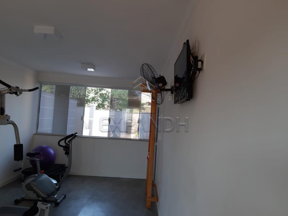 Alugar Apartamentos / Padrão em Sertãozinho apenas R$ 1.350,00 - Foto 12 Alugar Apartamentos / Padrão em Sertãozinho apenas R$ 1.350,00 - Foto 12