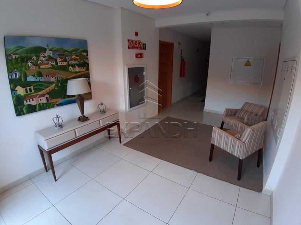 Alugar Apartamentos / Padrão em Sertãozinho apenas R$ 1.350,00 - Foto 15 Alugar Apartamentos / Padrão em Sertãozinho apenas R$ 1.350,00 - Foto 15