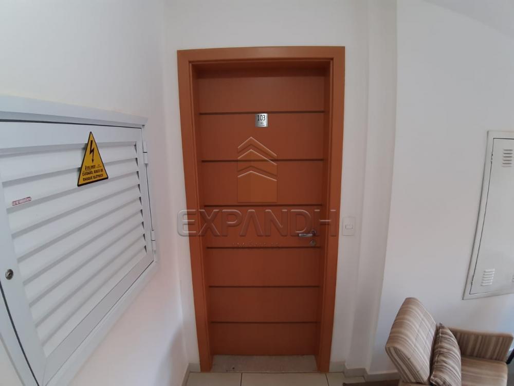 Alugar Apartamentos / Padrão em Sertãozinho apenas R$ 1.350,00 - Foto 17 Alugar Apartamentos / Padrão em Sertãozinho apenas R$ 1.350,00 - Foto 17
