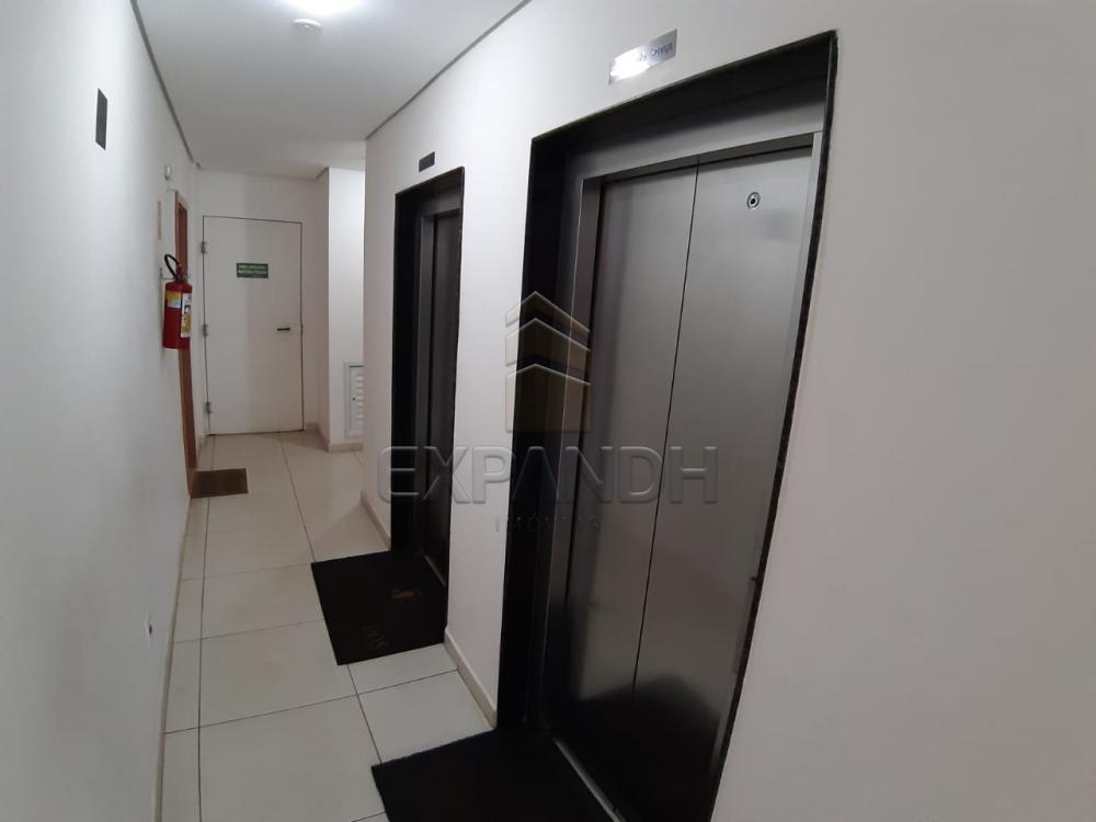 Alugar Apartamentos / Padrão em Sertãozinho apenas R$ 1.350,00 - Foto 19 Alugar Apartamentos / Padrão em Sertãozinho apenas R$ 1.350,00 - Foto 19