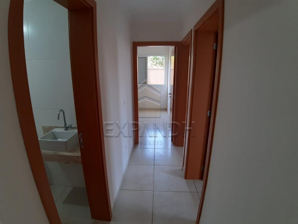 Alugar Apartamentos / Padrão em Sertãozinho apenas R$ 1.350,00 - Foto 33 Alugar Apartamentos / Padrão em Sertãozinho apenas R$ 1.350,00 - Foto 33