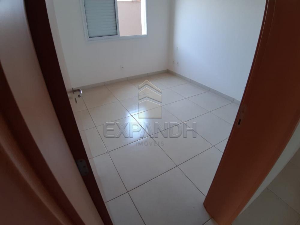Alugar Apartamentos / Padrão em Sertãozinho apenas R$ 1.350,00 - Foto 36 Alugar Apartamentos / Padrão em Sertãozinho apenas R$ 1.350,00 - Foto 36