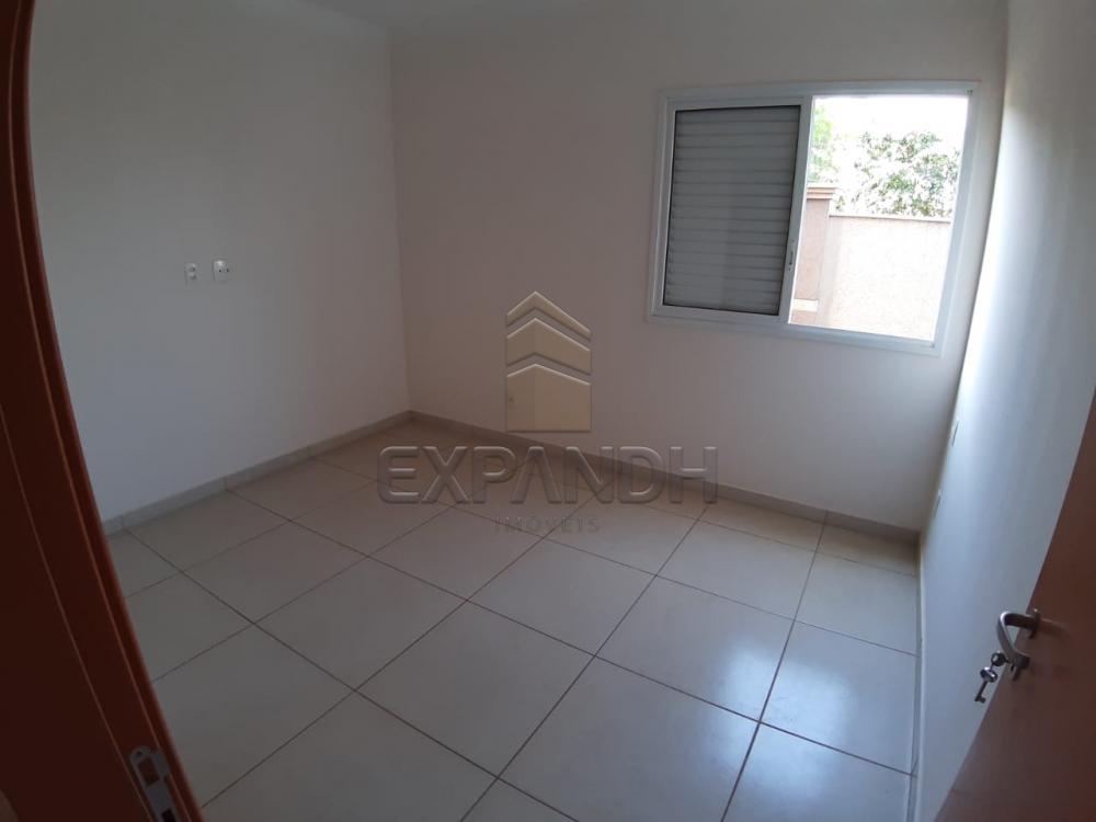 Alugar Apartamentos / Padrão em Sertãozinho apenas R$ 1.350,00 - Foto 42 Alugar Apartamentos / Padrão em Sertãozinho apenas R$ 1.350,00 - Foto 42