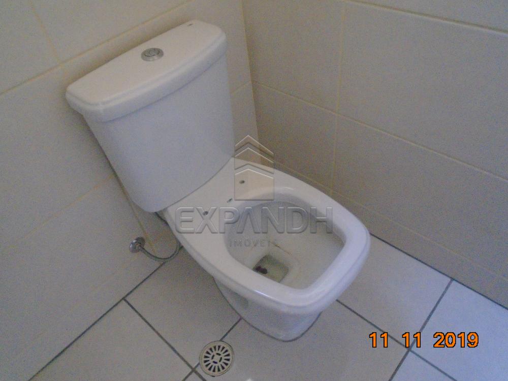 Alugar Comerciais / Salão em Sertãozinho apenas R$ 2.500,00 - Foto 10 Alugar Comerciais / Salão em Sertãozinho apenas R$ 2.500,00 - Foto 10