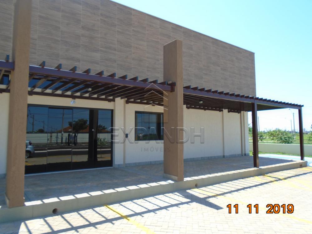 Alugar Comerciais / Salão em Sertãozinho apenas R$ 2.500,00 - Foto 3 Alugar Comerciais / Salão em Sertãozinho apenas R$ 2.500,00 - Foto 3