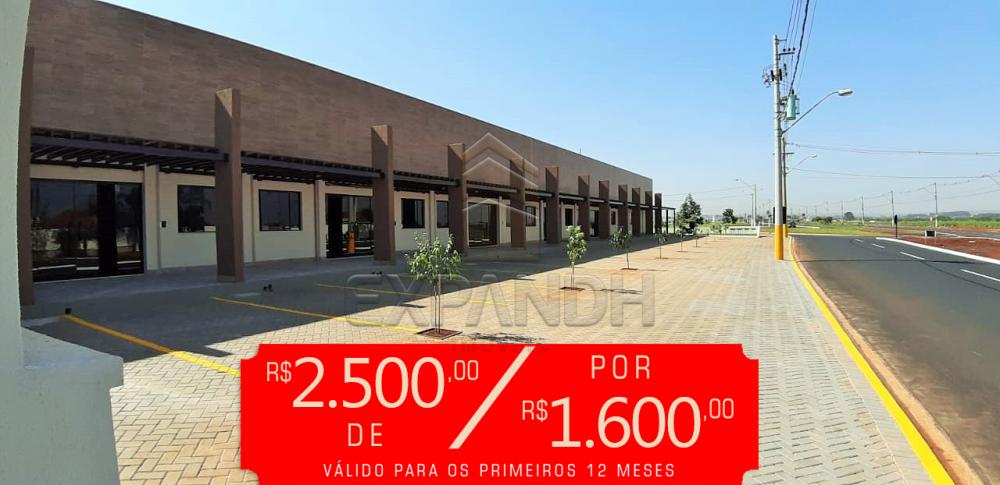 Alugar Comerciais / Salão em Sertãozinho apenas R$ 2.500,00 - Foto 1 Alugar Comerciais / Salão em Sertãozinho apenas R$ 2.500,00 - Foto 1