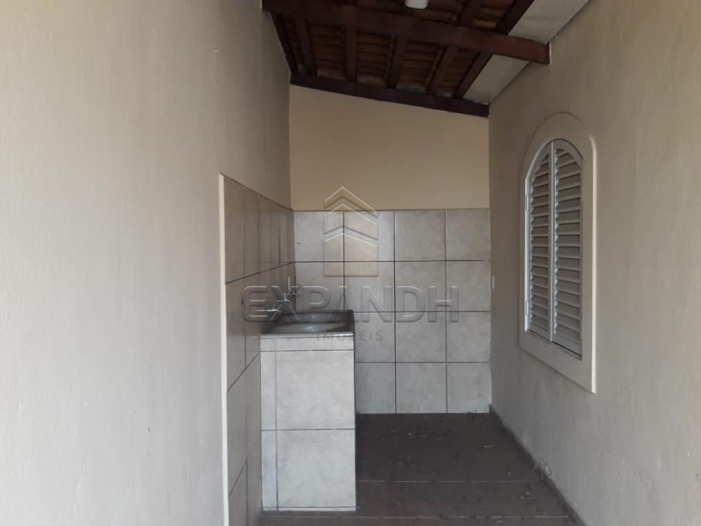 Alugar Casas / Padrão em Sertãozinho apenas R$ 492,70 - Foto 5 Alugar Casas / Padrão em Sertãozinho apenas R$ 492,70 - Foto 5