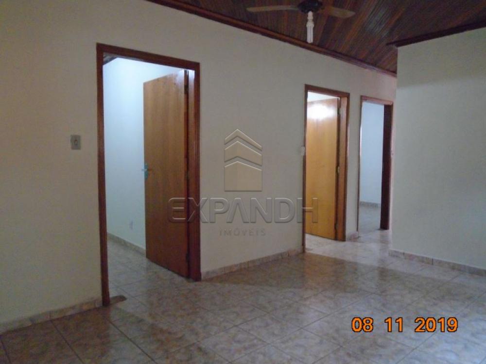 Alugar Casas / Padrão em Sertãozinho apenas R$ 1.000,00 - Foto 12 Alugar Casas / Padrão em Sertãozinho apenas R$ 1.000,00 - Foto 12