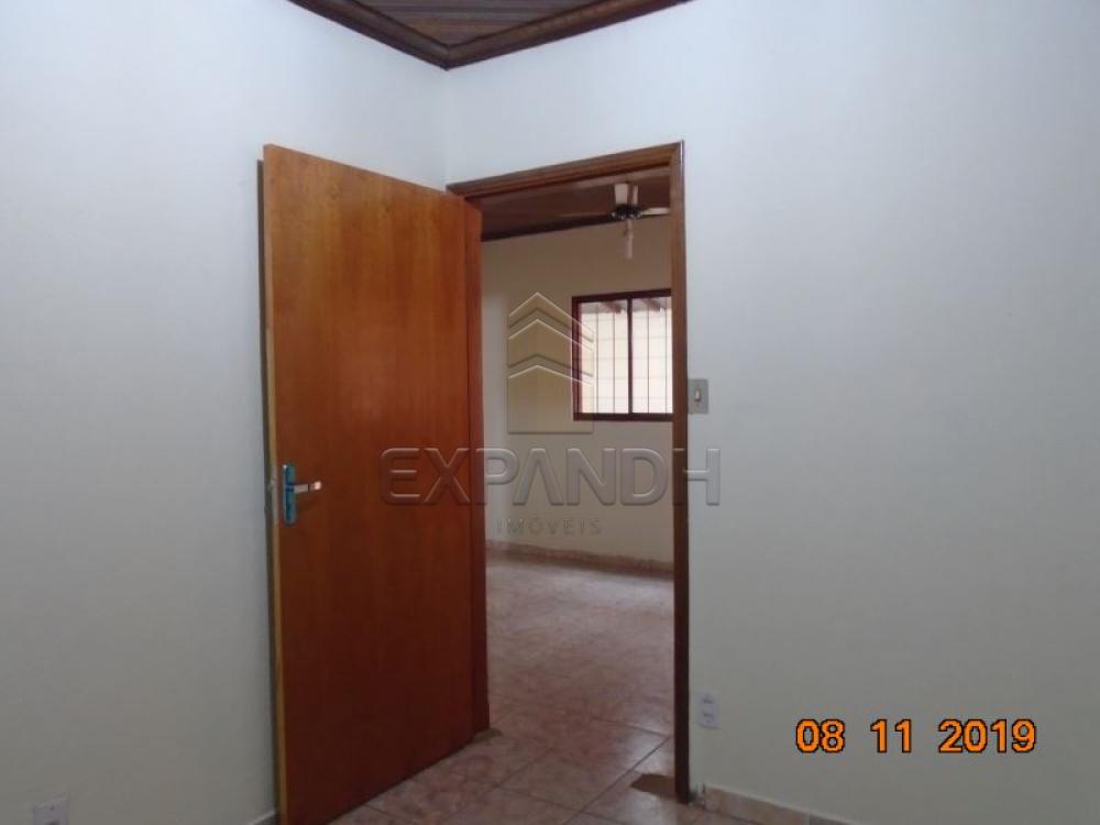 Alugar Casas / Padrão em Sertãozinho apenas R$ 1.000,00 - Foto 13 Alugar Casas / Padrão em Sertãozinho apenas R$ 1.000,00 - Foto 13