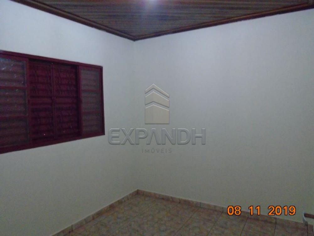 Alugar Casas / Padrão em Sertãozinho apenas R$ 1.000,00 - Foto 14 Alugar Casas / Padrão em Sertãozinho apenas R$ 1.000,00 - Foto 14