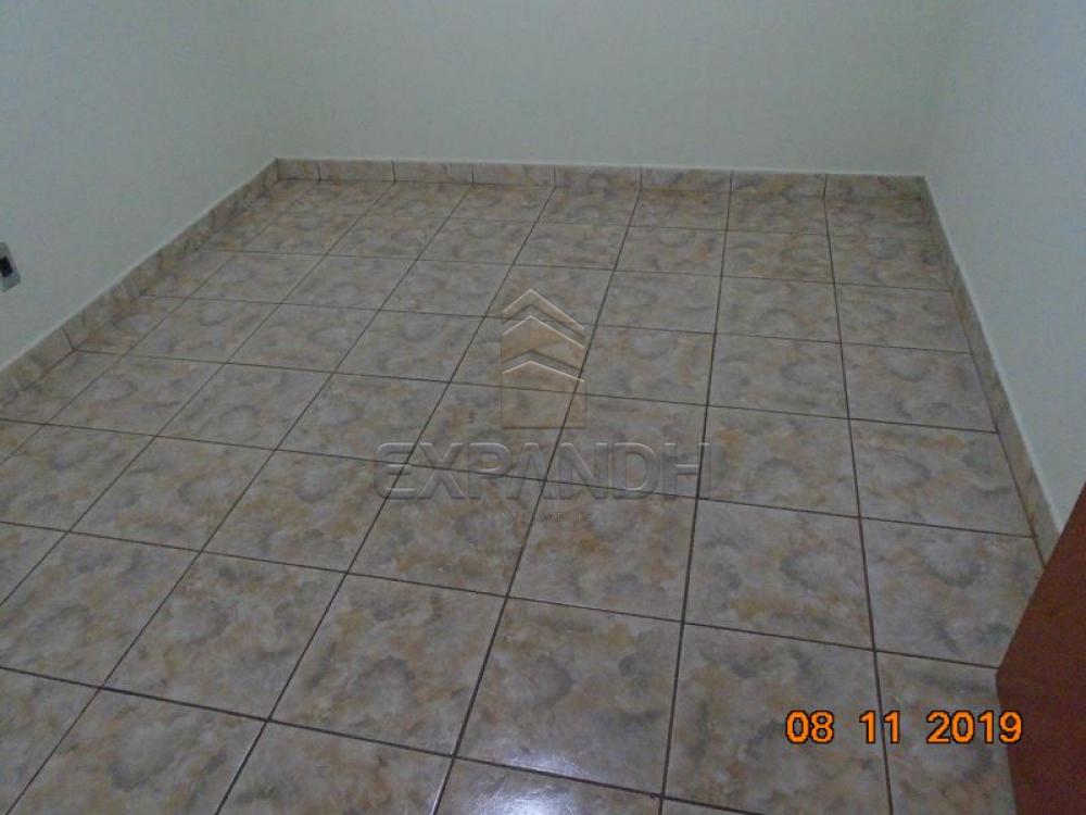 Alugar Casas / Padrão em Sertãozinho apenas R$ 1.000,00 - Foto 16 Alugar Casas / Padrão em Sertãozinho apenas R$ 1.000,00 - Foto 16