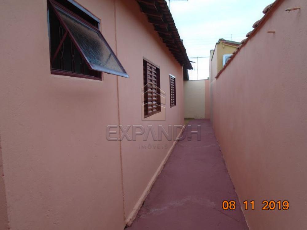 Alugar Casas / Padrão em Sertãozinho apenas R$ 1.000,00 - Foto 31 Alugar Casas / Padrão em Sertãozinho apenas R$ 1.000,00 - Foto 31