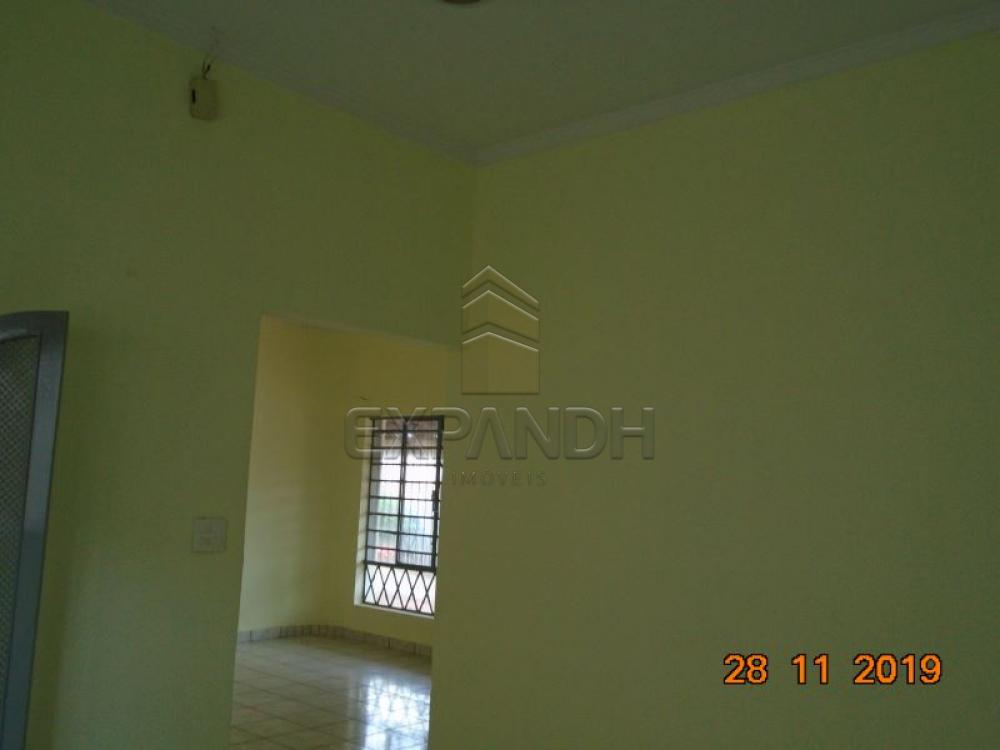 Alugar Casas / Padrão em Sertãozinho apenas R$ 2.200,00 - Foto 16 Alugar Casas / Padrão em Sertãozinho apenas R$ 2.200,00 - Foto 16