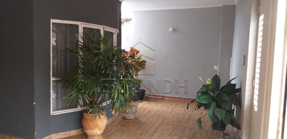 Comprar Casas / Padrão em Sertãozinho apenas R$ 380.000,00 - Foto 4 Comprar Casas / Padrão em Sertãozinho apenas R$ 380.000,00 - Foto 4
