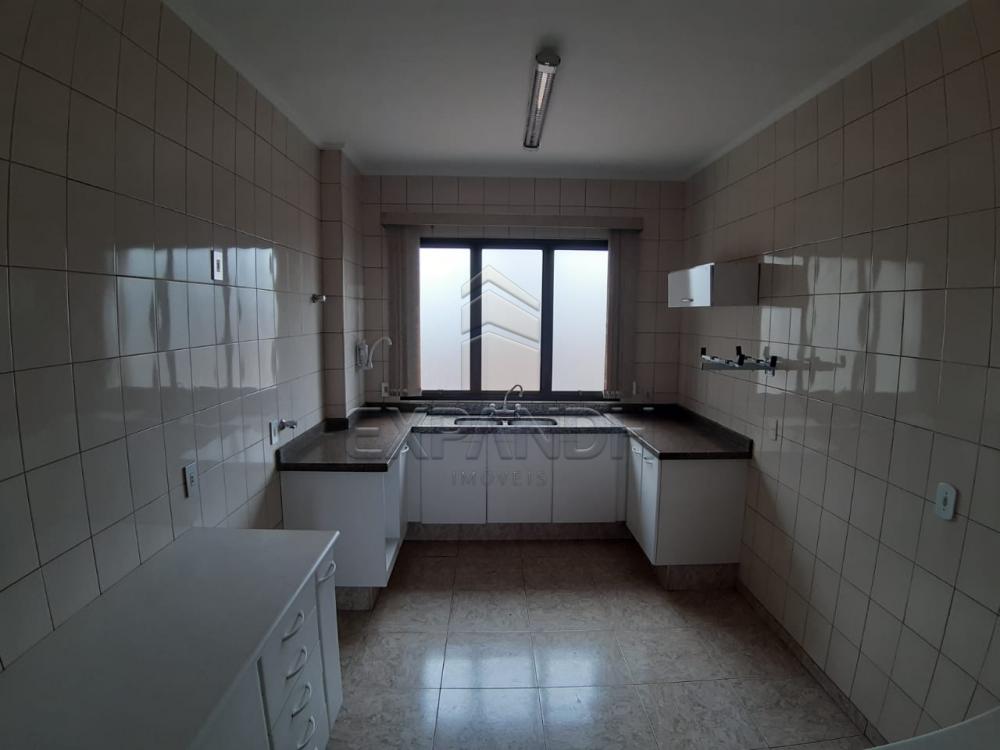 Alugar Apartamentos / Padrão em Sertãozinho apenas R$ 1.000,00 - Foto 19 Alugar Apartamentos / Padrão em Sertãozinho apenas R$ 1.000,00 - Foto 19