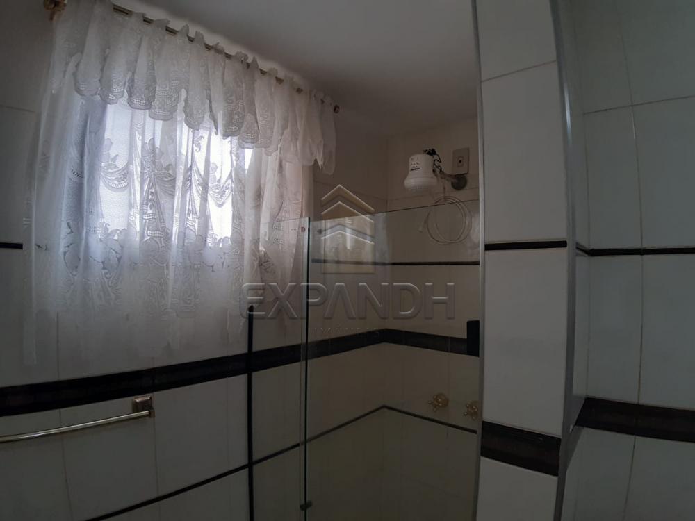 Alugar Apartamentos / Padrão em Sertãozinho apenas R$ 1.000,00 - Foto 43 Alugar Apartamentos / Padrão em Sertãozinho apenas R$ 1.000,00 - Foto 43