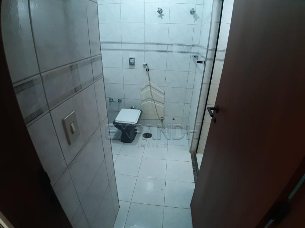 Alugar Apartamentos / Padrão em Sertãozinho apenas R$ 1.000,00 - Foto 49 Alugar Apartamentos / Padrão em Sertãozinho apenas R$ 1.000,00 - Foto 49