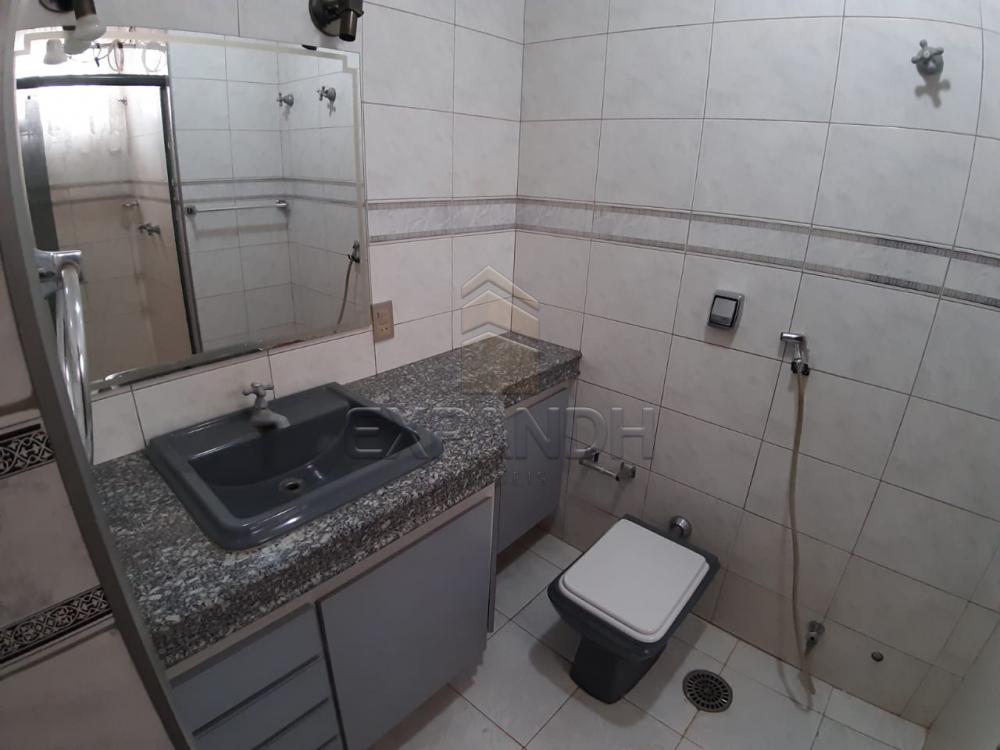 Alugar Apartamentos / Padrão em Sertãozinho apenas R$ 1.000,00 - Foto 50 Alugar Apartamentos / Padrão em Sertãozinho apenas R$ 1.000,00 - Foto 50