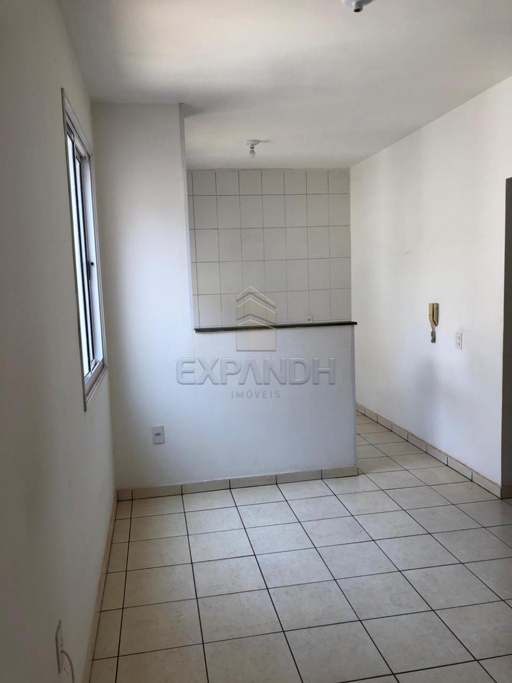 Alugar Apartamentos / Padrão em Sertãozinho R$ 600,00 - Foto 2 Alugar Apartamentos / Padrão em Sertãozinho R$ 600,00 - Foto 2