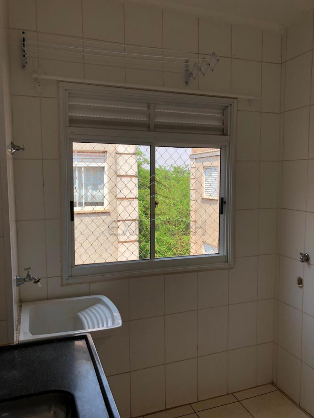 Alugar Apartamentos / Padrão em Sertãozinho R$ 600,00 - Foto 4 Alugar Apartamentos / Padrão em Sertãozinho R$ 600,00 - Foto 4