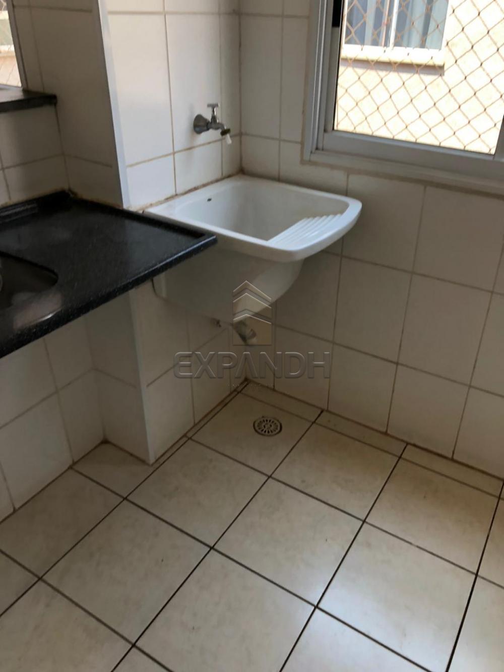 Alugar Apartamentos / Padrão em Sertãozinho R$ 600,00 - Foto 6 Alugar Apartamentos / Padrão em Sertãozinho R$ 600,00 - Foto 6