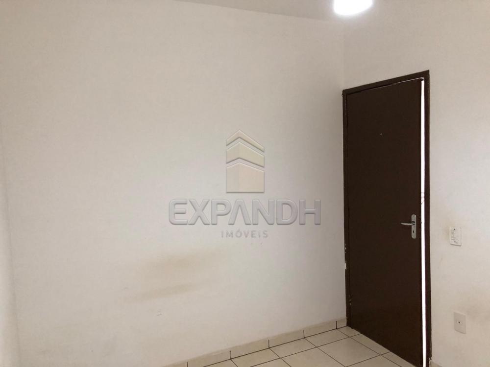 Alugar Apartamentos / Padrão em Sertãozinho R$ 600,00 - Foto 9 Alugar Apartamentos / Padrão em Sertãozinho R$ 600,00 - Foto 9
