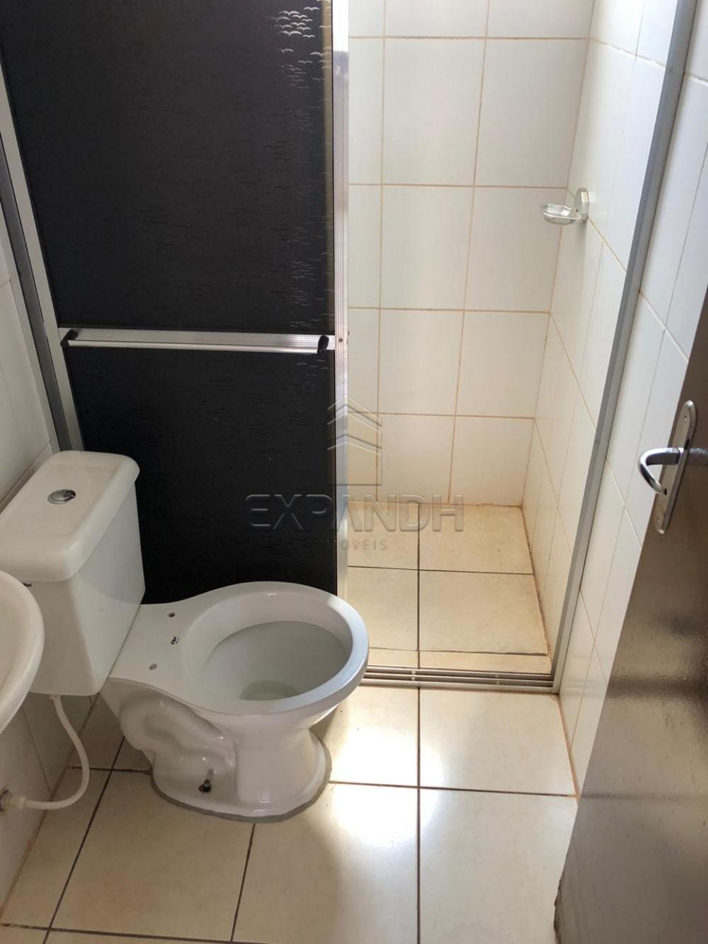 Alugar Apartamentos / Padrão em Sertãozinho R$ 600,00 - Foto 11 Alugar Apartamentos / Padrão em Sertãozinho R$ 600,00 - Foto 11
