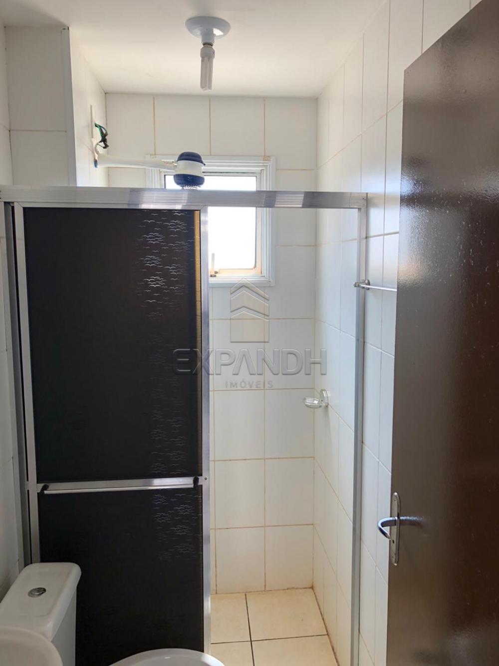 Alugar Apartamentos / Padrão em Sertãozinho R$ 600,00 - Foto 10 Alugar Apartamentos / Padrão em Sertãozinho R$ 600,00 - Foto 10