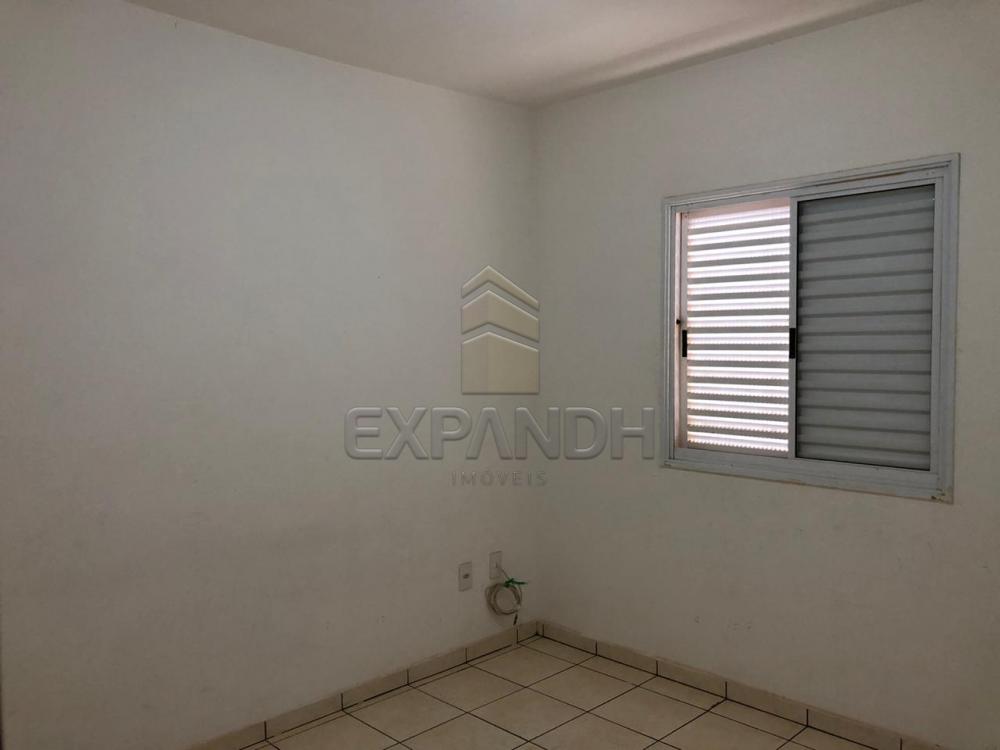 Alugar Apartamentos / Padrão em Sertãozinho R$ 600,00 - Foto 12 Alugar Apartamentos / Padrão em Sertãozinho R$ 600,00 - Foto 12