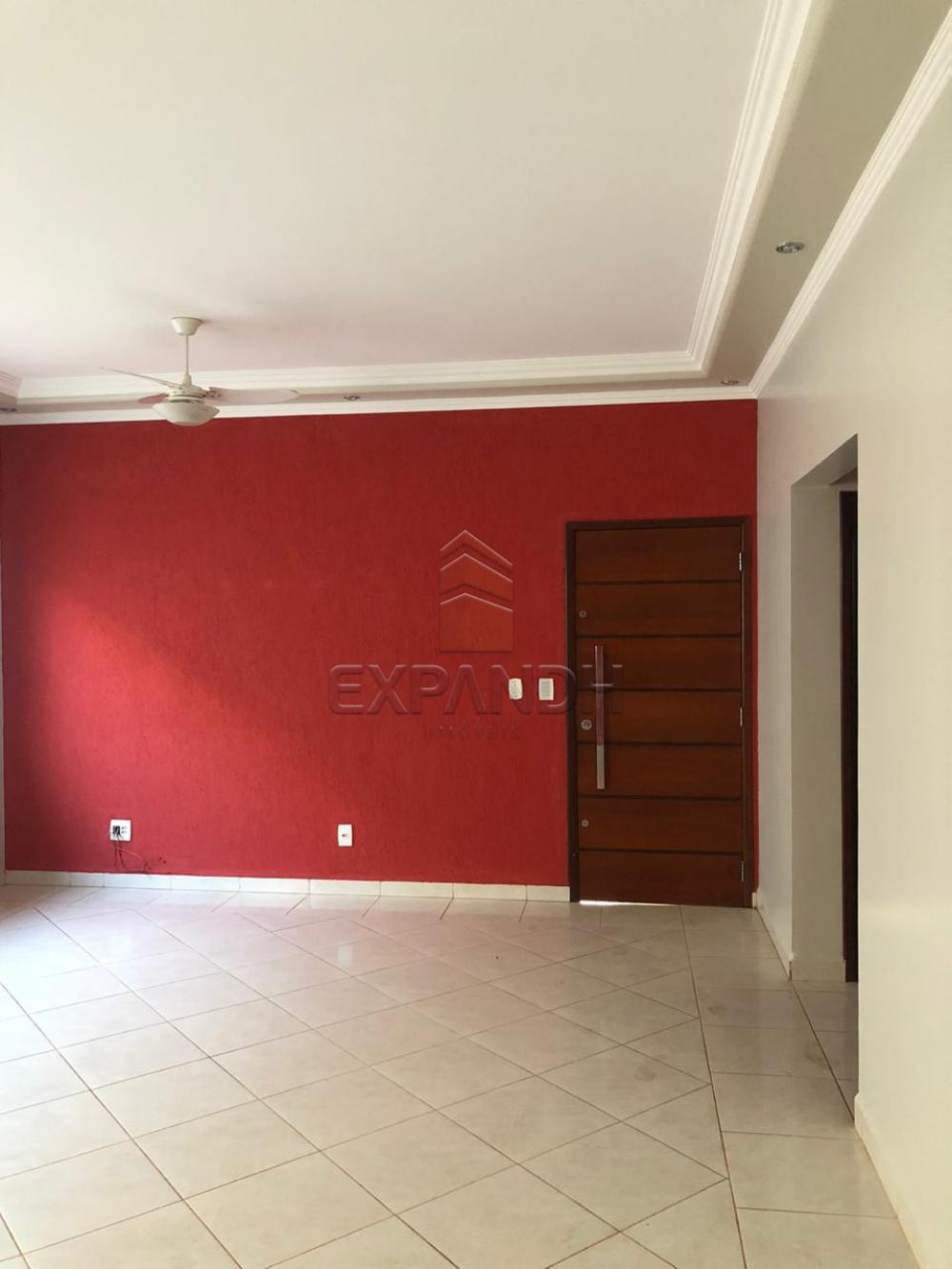 Alugar Casas / Padrão em Sertãozinho R$ 1.250,00 - Foto 4 Alugar Casas / Padrão em Sertãozinho R$ 1.250,00 - Foto 4
