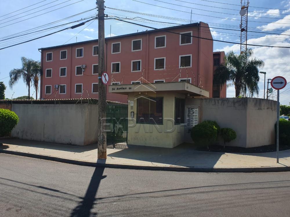 Alugar Apartamentos / Padrão em Sertãozinho apenas R$ 550,00 - Foto 1 Alugar Apartamentos / Padrão em Sertãozinho apenas R$ 550,00 - Foto 1