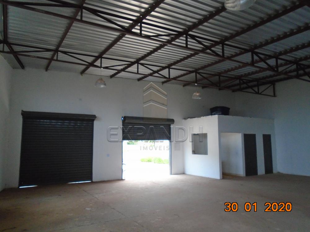 Alugar Comerciais / Galpão em Sertãozinho R$ 1.650,00 - Foto 12 Alugar Comerciais / Galpão em Sertãozinho R$ 1.650,00 - Foto 12