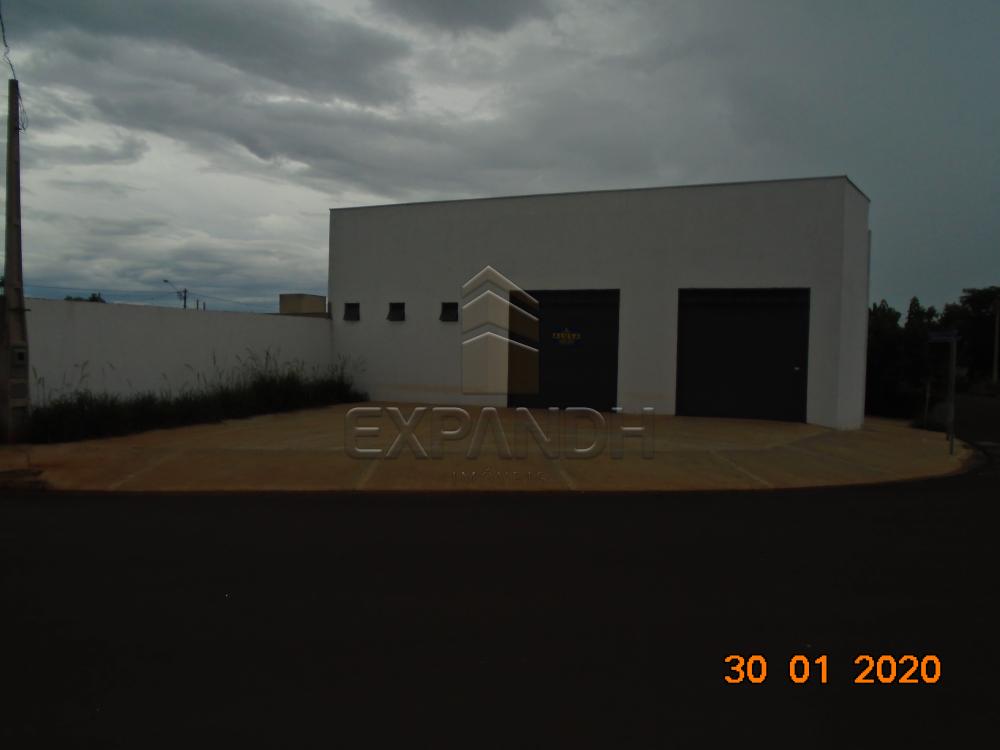 Alugar Comerciais / Galpão em Sertãozinho R$ 1.650,00 - Foto 4 Alugar Comerciais / Galpão em Sertãozinho R$ 1.650,00 - Foto 4