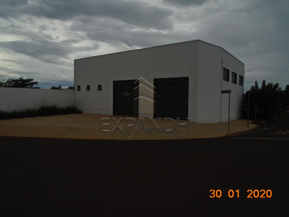Alugar Comerciais / Galpão em Sertãozinho R$ 1.650,00 - Foto 3 Alugar Comerciais / Galpão em Sertãozinho R$ 1.650,00 - Foto 3