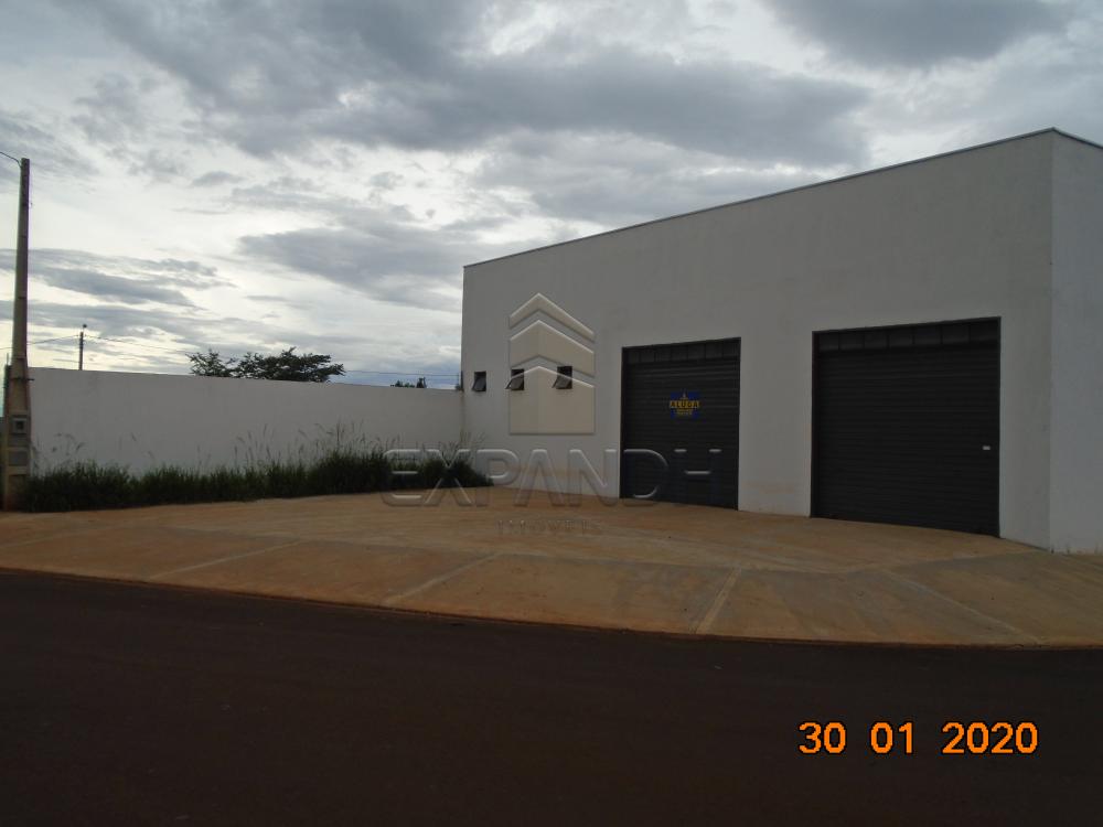 Alugar Comerciais / Galpão em Sertãozinho R$ 1.650,00 - Foto 2 Alugar Comerciais / Galpão em Sertãozinho R$ 1.650,00 - Foto 2
