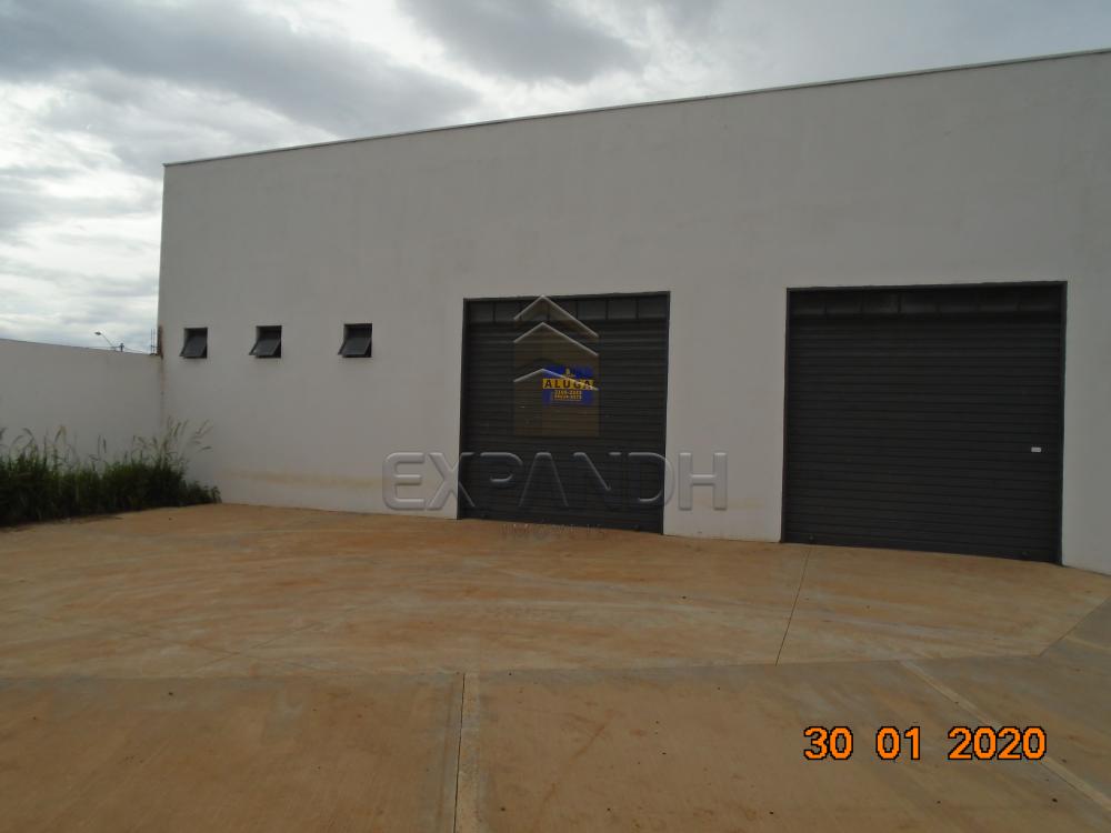 Alugar Comerciais / Galpão em Sertãozinho R$ 1.650,00 - Foto 1 Alugar Comerciais / Galpão em Sertãozinho R$ 1.650,00 - Foto 1