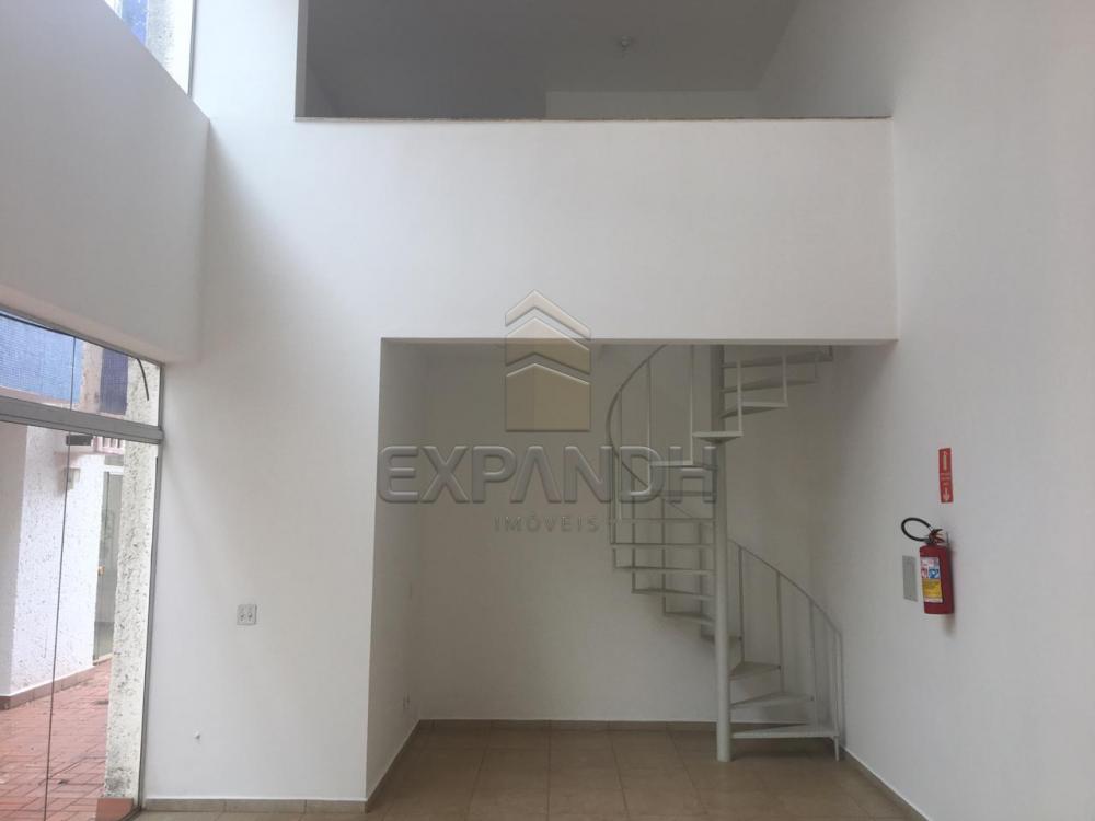 Alugar Comerciais / Sala em Sertãozinho apenas R$ 1.500,00 - Foto 4 Alugar Comerciais / Sala em Sertãozinho apenas R$ 1.500,00 - Foto 4