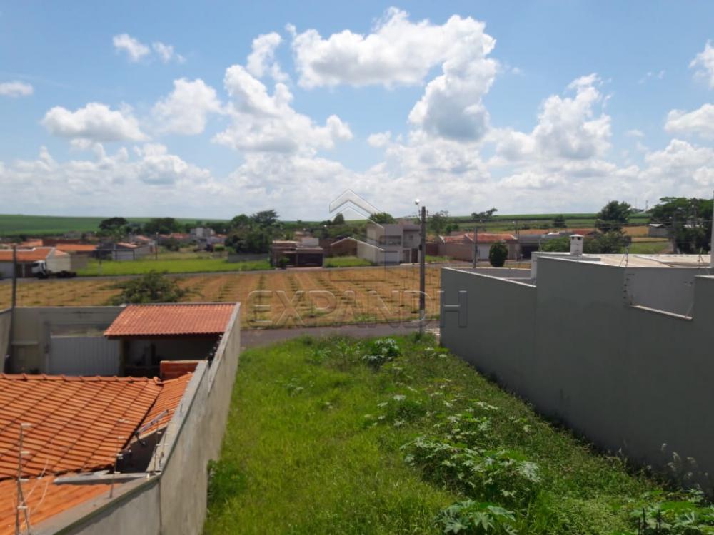 Comprar Casas / Padrão em Sertãozinho R$ 370.000,00 - Foto 18 Comprar Casas / Padrão em Sertãozinho R$ 370.000,00 - Foto 18