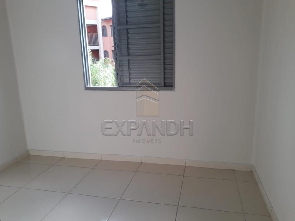 Alugar Apartamentos / Padrão em Sertãozinho apenas R$ 750,00 - Foto 12 Alugar Apartamentos / Padrão em Sertãozinho apenas R$ 750,00 - Foto 12