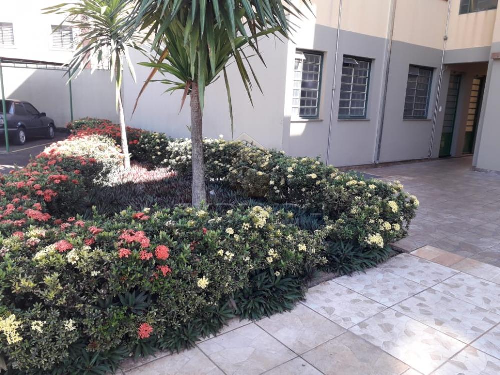 Alugar Apartamentos / Padrão em Sertãozinho apenas R$ 500,00 - Foto 2 Alugar Apartamentos / Padrão em Sertãozinho apenas R$ 500,00 - Foto 2