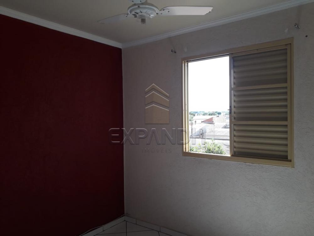 Alugar Apartamentos / Padrão em Sertãozinho apenas R$ 500,00 - Foto 10 Alugar Apartamentos / Padrão em Sertãozinho apenas R$ 500,00 - Foto 10