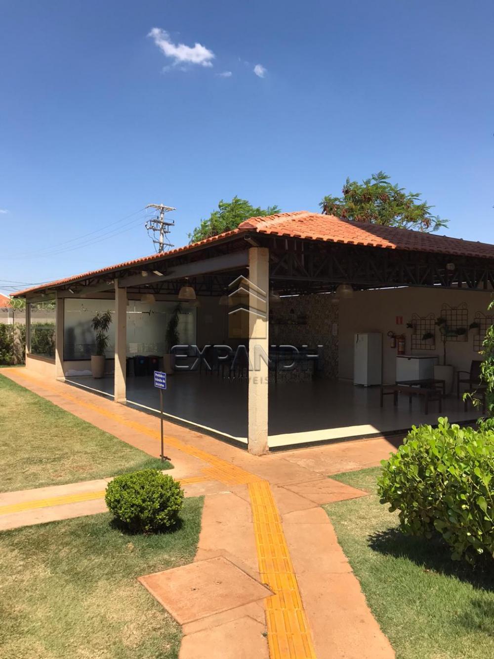 Alugar Apartamentos / Padrão em Sertãozinho apenas R$ 850,00 - Foto 5 Alugar Apartamentos / Padrão em Sertãozinho apenas R$ 850,00 - Foto 5