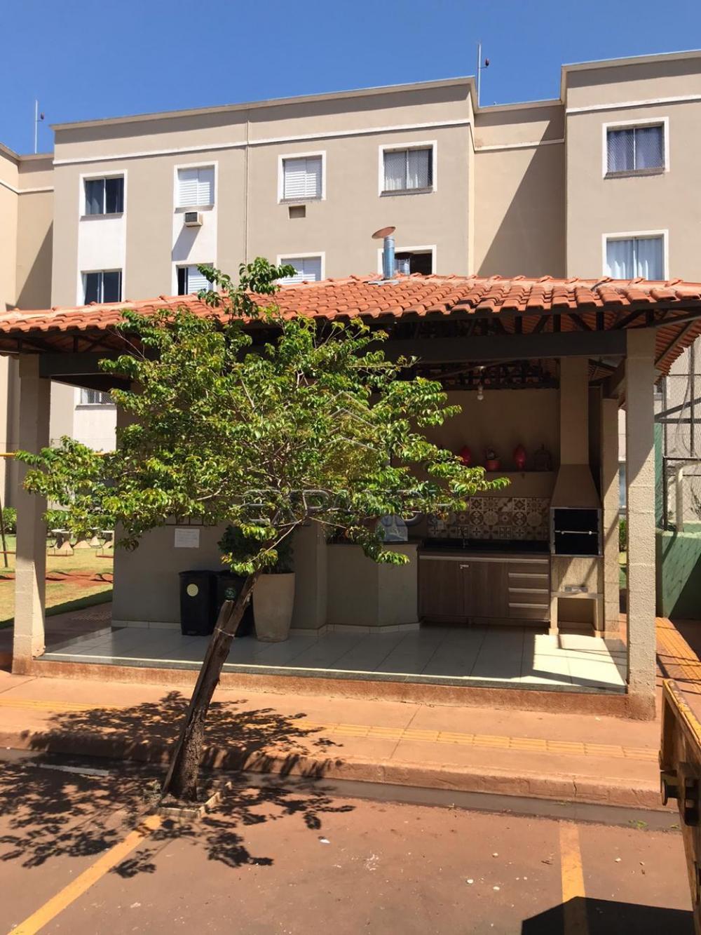 Alugar Apartamentos / Padrão em Sertãozinho apenas R$ 850,00 - Foto 6 Alugar Apartamentos / Padrão em Sertãozinho apenas R$ 850,00 - Foto 6
