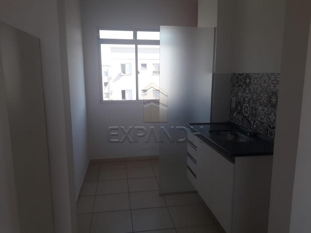 Alugar Apartamentos / Padrão em Sertãozinho apenas R$ 850,00 - Foto 8 Alugar Apartamentos / Padrão em Sertãozinho apenas R$ 850,00 - Foto 8