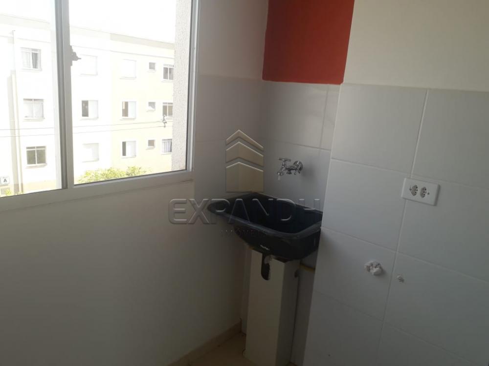 Alugar Apartamentos / Padrão em Sertãozinho apenas R$ 850,00 - Foto 9 Alugar Apartamentos / Padrão em Sertãozinho apenas R$ 850,00 - Foto 9
