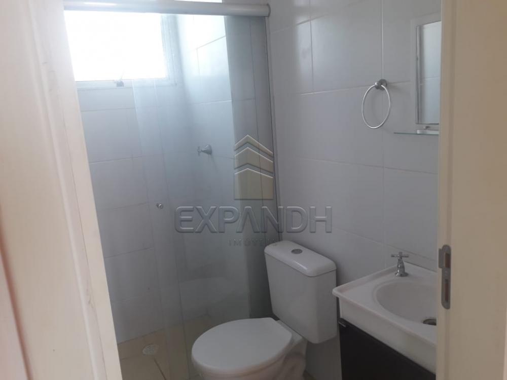 Alugar Apartamentos / Padrão em Sertãozinho apenas R$ 850,00 - Foto 12 Alugar Apartamentos / Padrão em Sertãozinho apenas R$ 850,00 - Foto 12