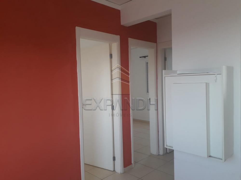 Alugar Apartamentos / Padrão em Sertãozinho apenas R$ 850,00 - Foto 10 Alugar Apartamentos / Padrão em Sertãozinho apenas R$ 850,00 - Foto 10