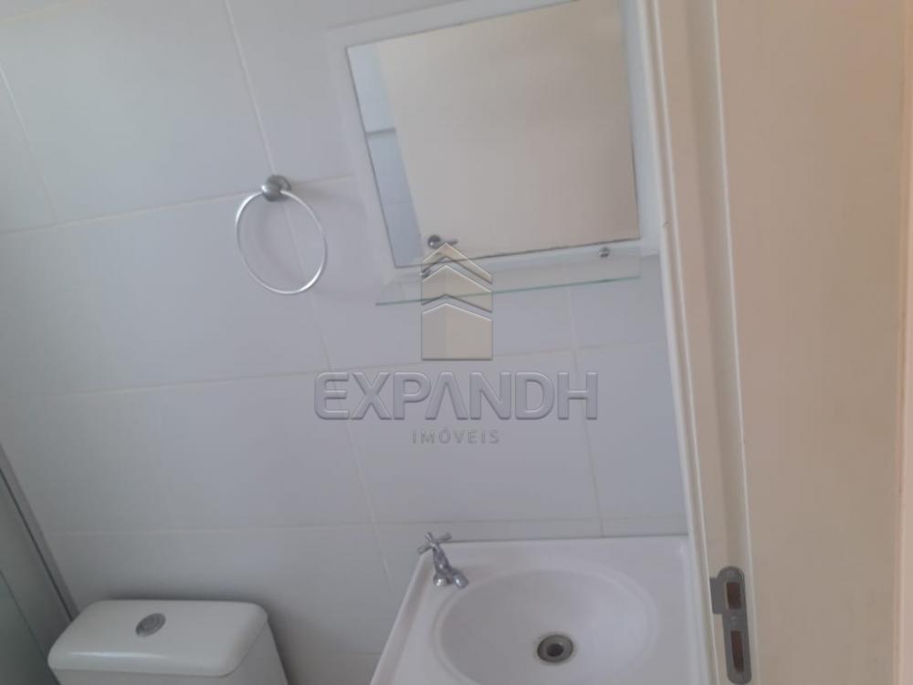 Alugar Apartamentos / Padrão em Sertãozinho apenas R$ 850,00 - Foto 14 Alugar Apartamentos / Padrão em Sertãozinho apenas R$ 850,00 - Foto 14