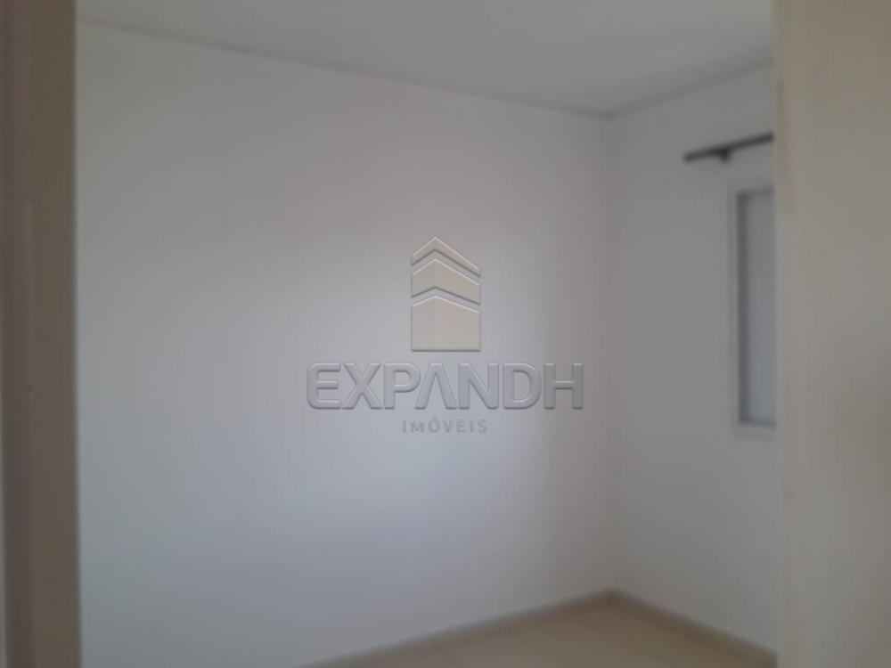 Alugar Apartamentos / Padrão em Sertãozinho apenas R$ 850,00 - Foto 15 Alugar Apartamentos / Padrão em Sertãozinho apenas R$ 850,00 - Foto 15